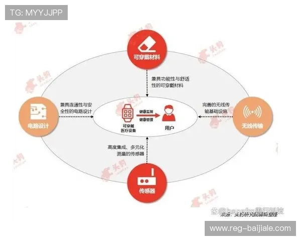 深入解析PA直营官网的功能特色与未来发展趋势的全面分析