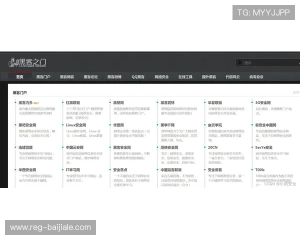 AG视讯贵宾厅网址导航大全，提供多渠道安全登录入口推荐